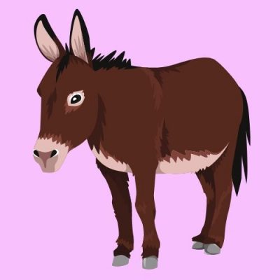 burro.jpg burro.jpg